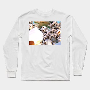 Footbridge to the Yeti Long Sleeve T-Shirt